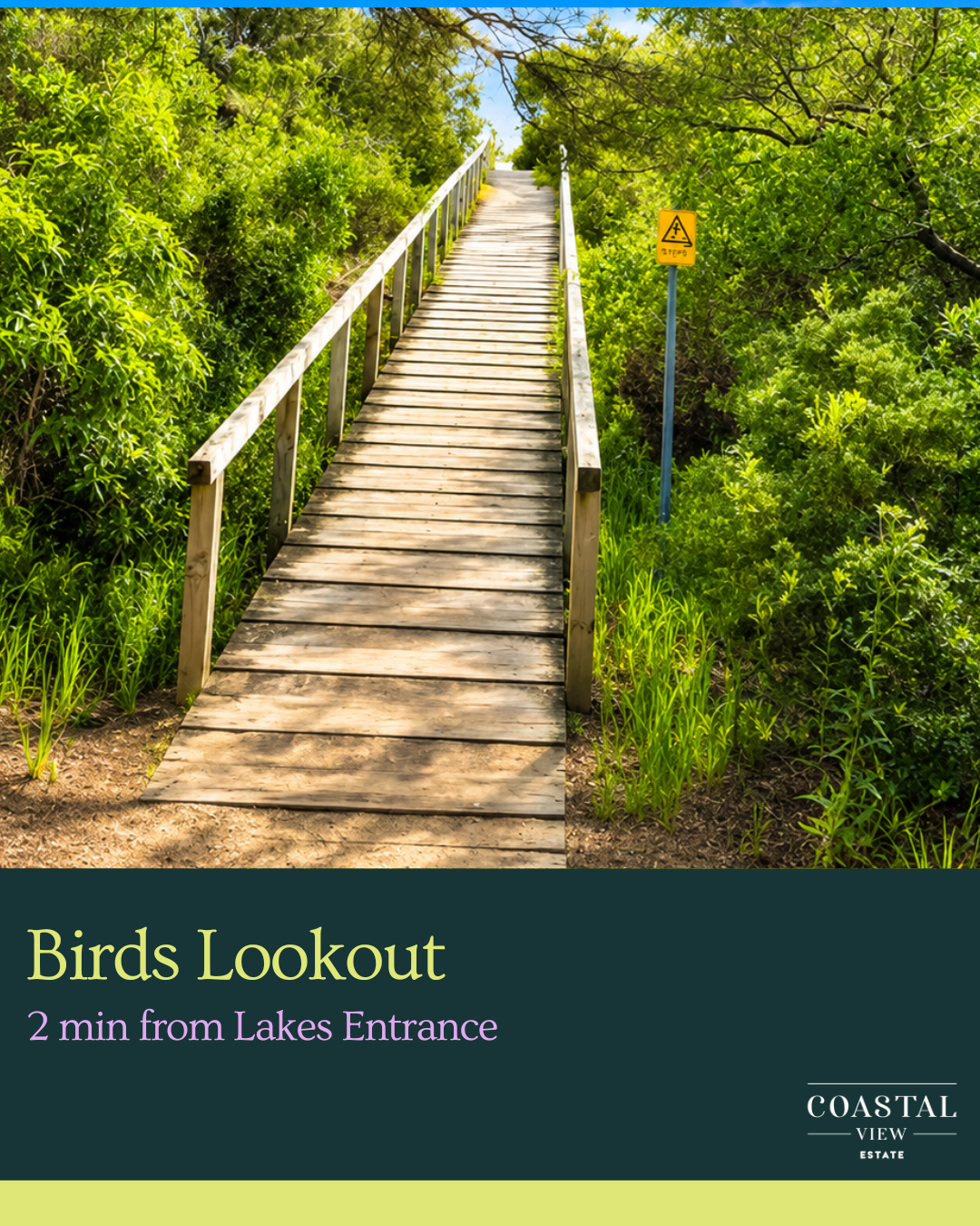 Lookouts (2).png