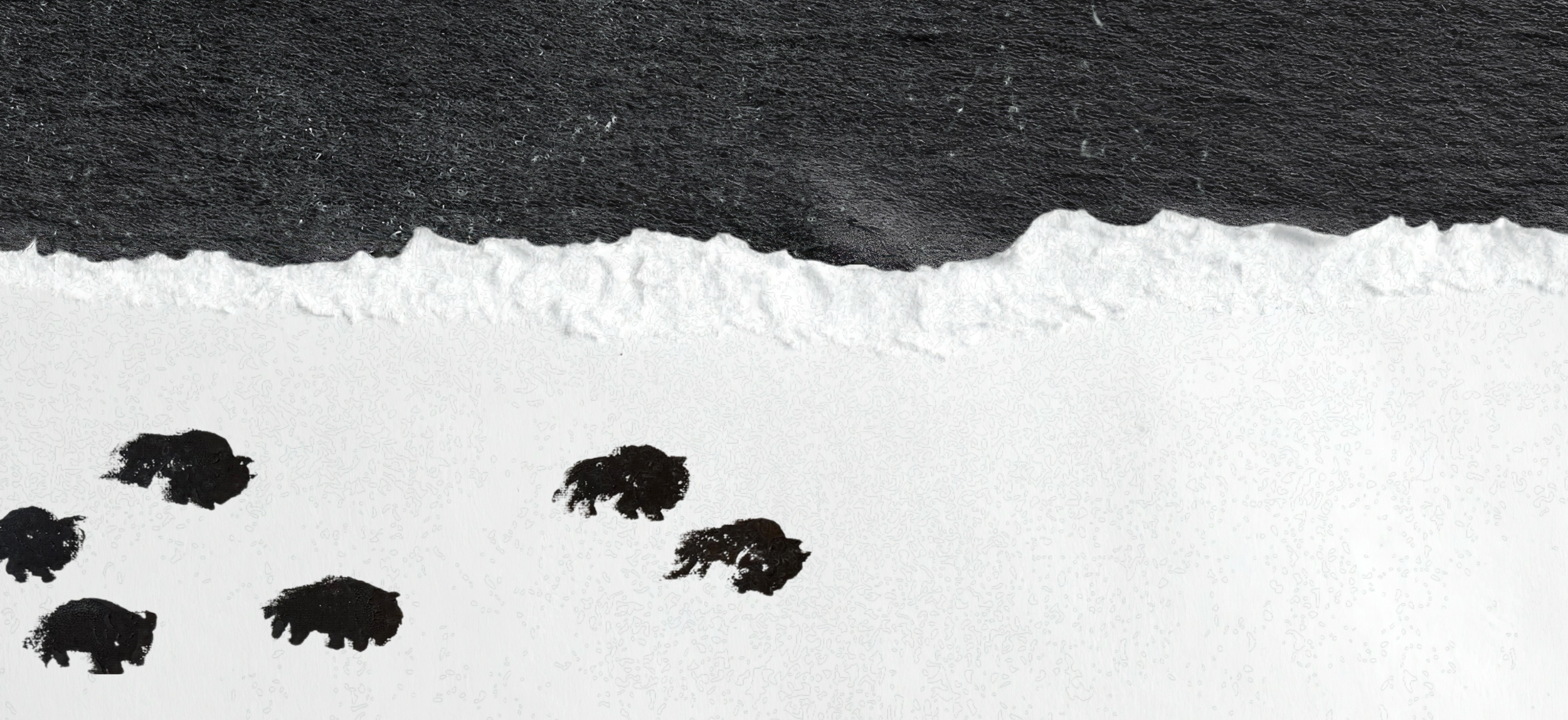 Torn paper with black silhouettes of bears on white background and black textured top edge.