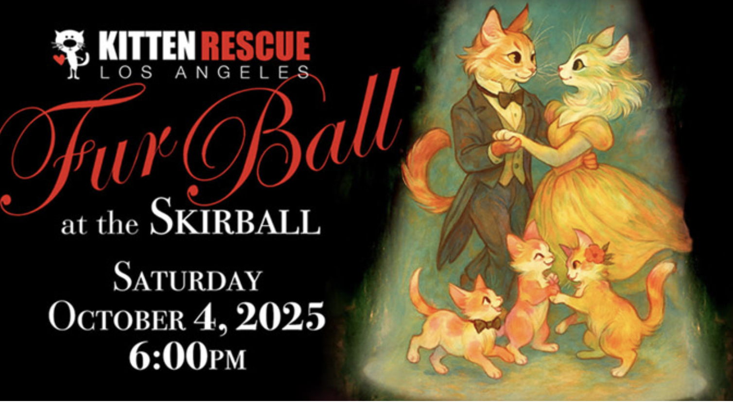 Annual Kitten Rescue Fur Ball
