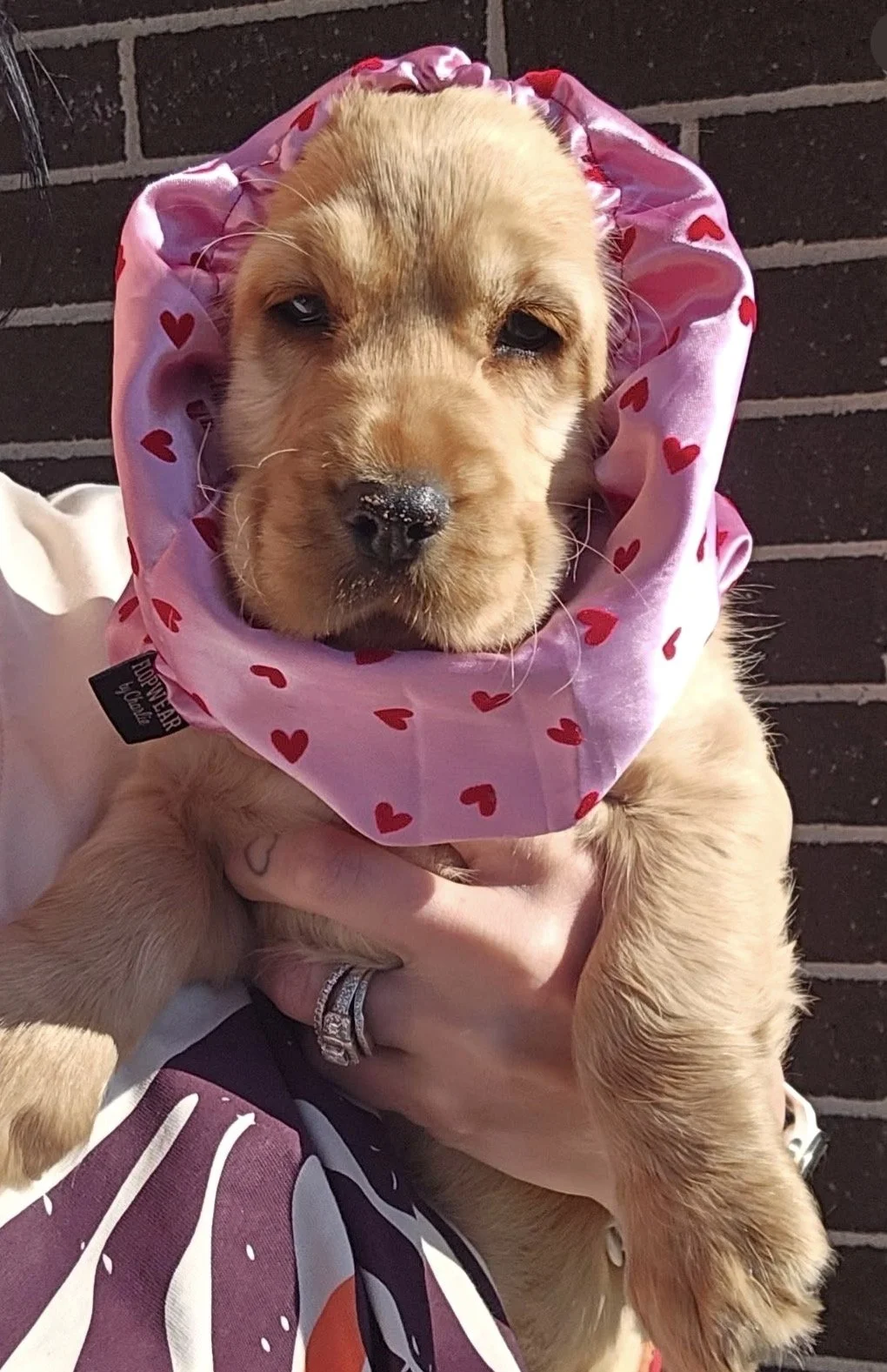 Delilah - Sydney Australia (Prahran Water Resistant Snood)