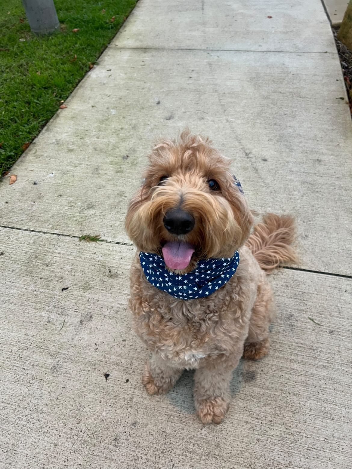 Murph, VIC - (Sonny Star Gazer Snood - size custom)