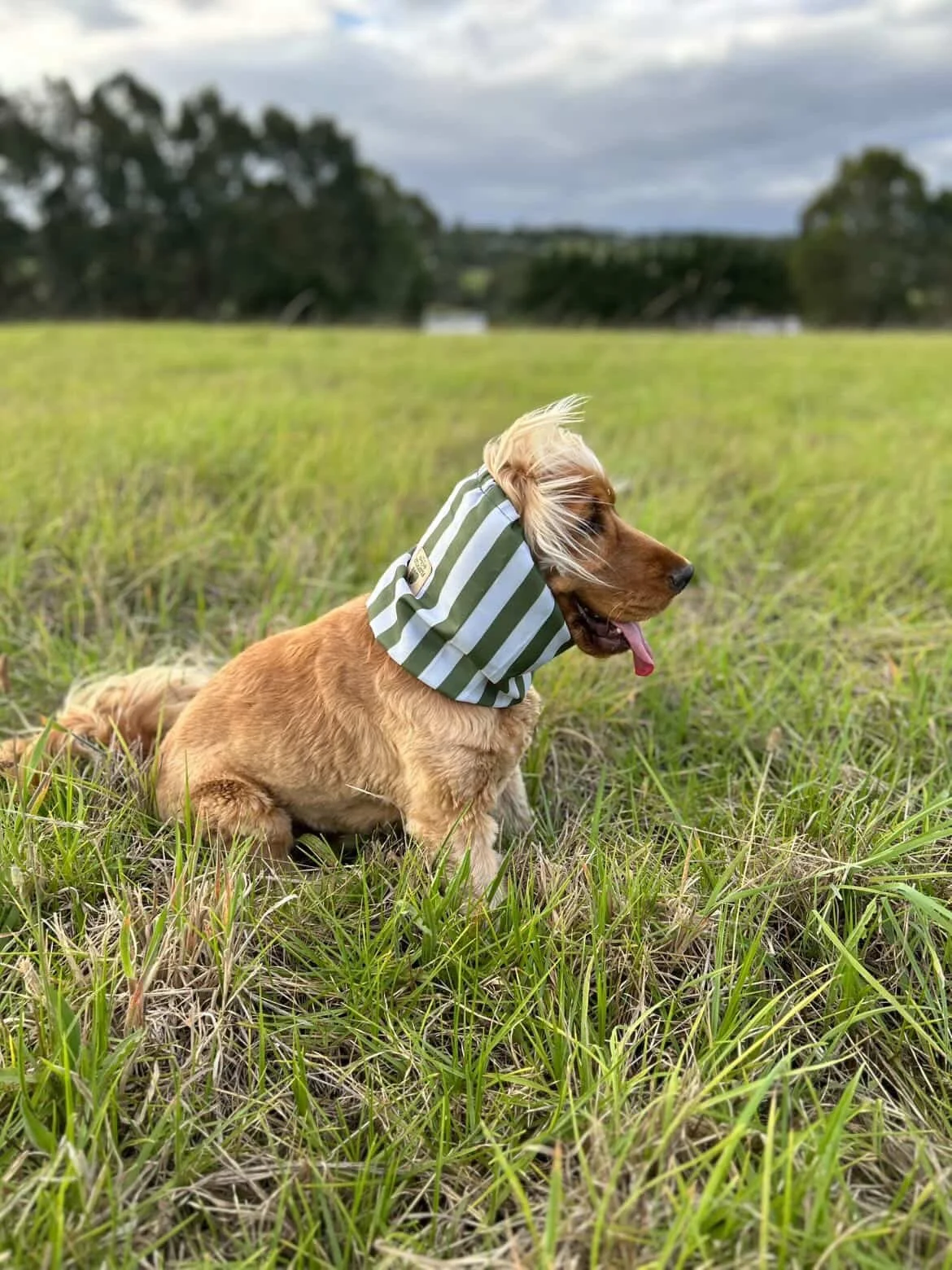 Kingston K Adventure Water-resistant Snood