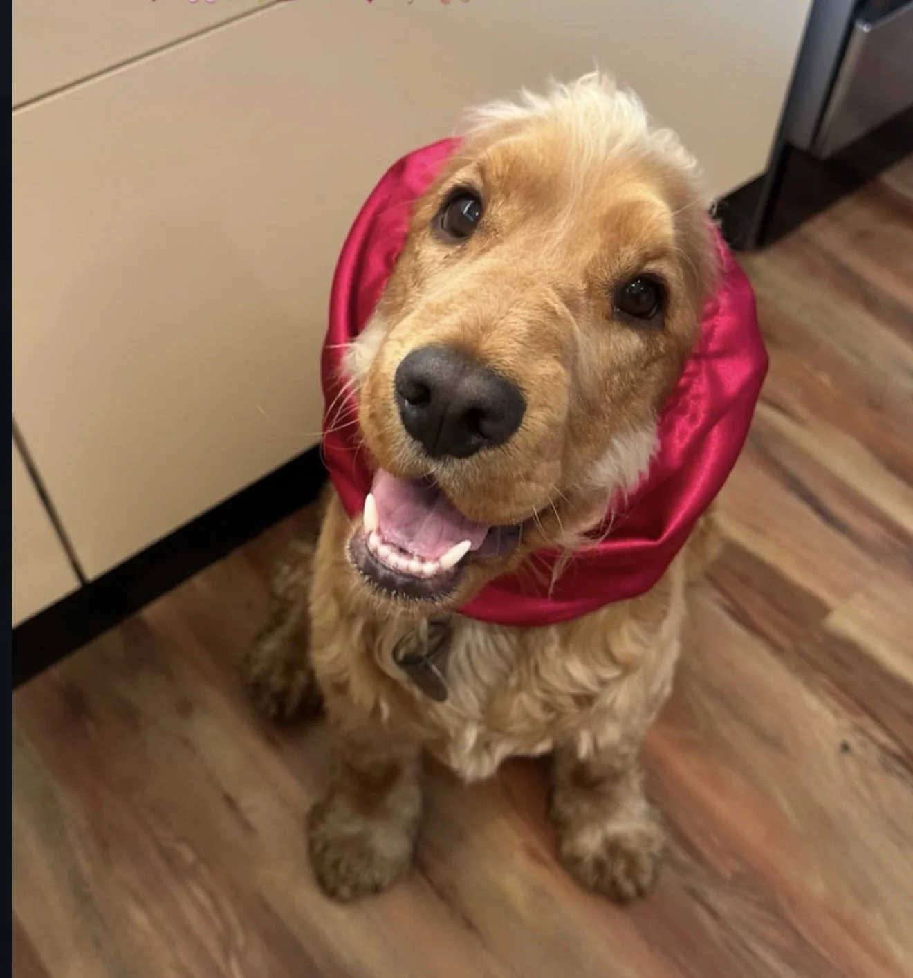 Sadie-Grace, VIC (Miss Maggie Luxe Snood) size M
