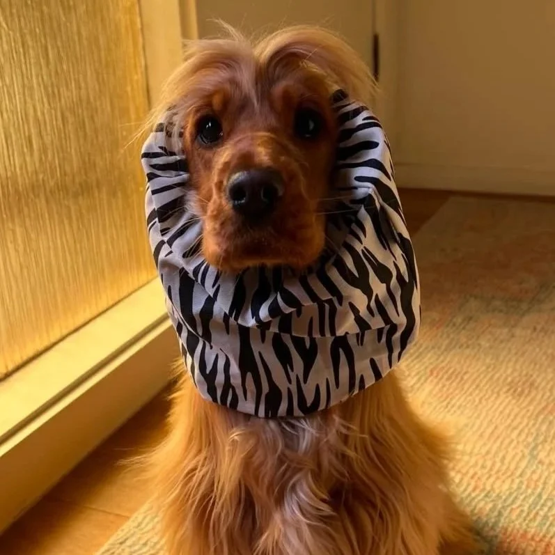 Byron Everyday Snood