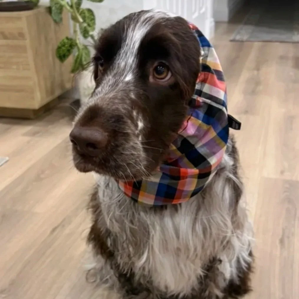 Savy - Pippin Plaid Snood (size M) 