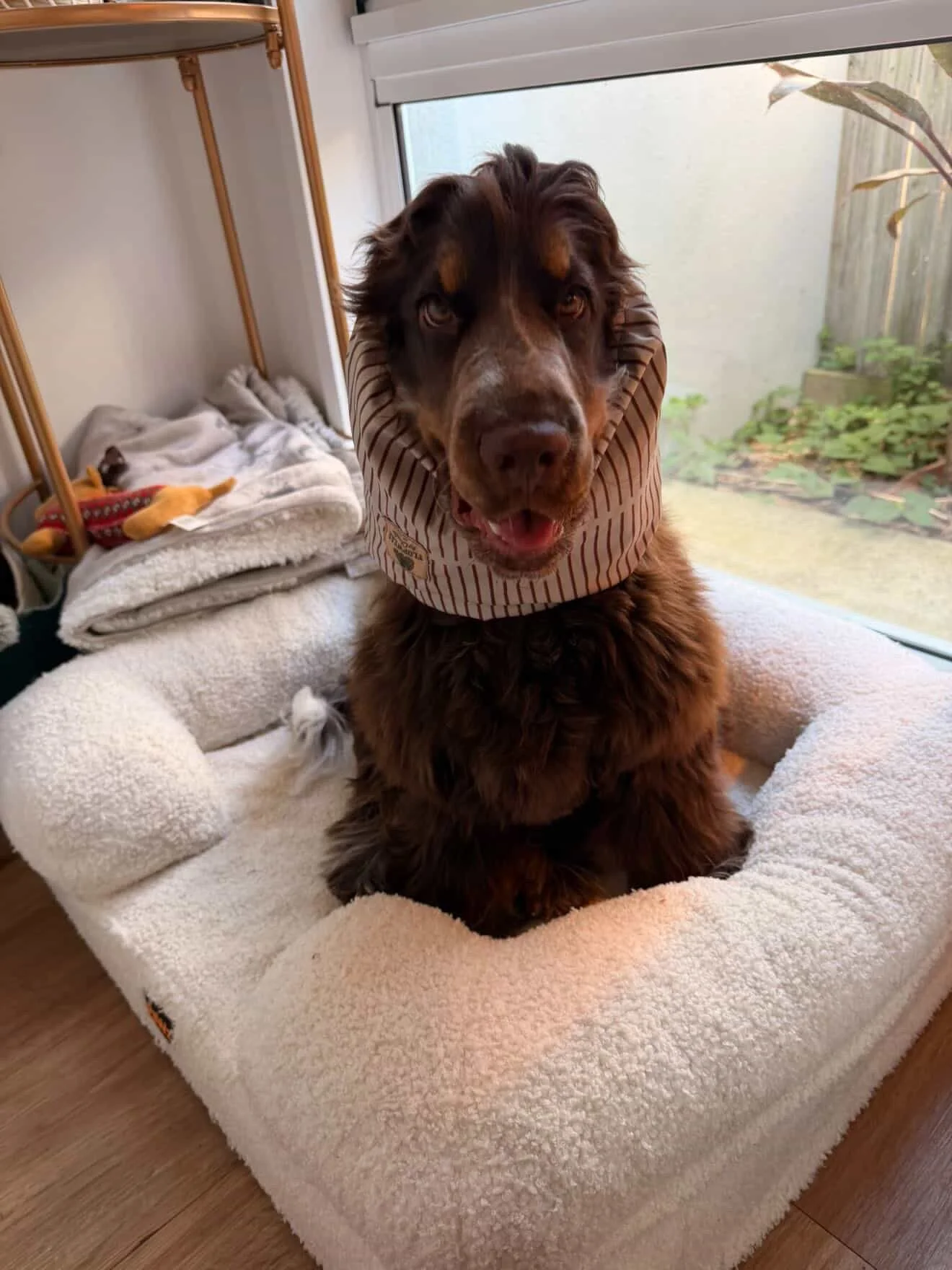 Sonny, VIC (Desi Adventure Snood)