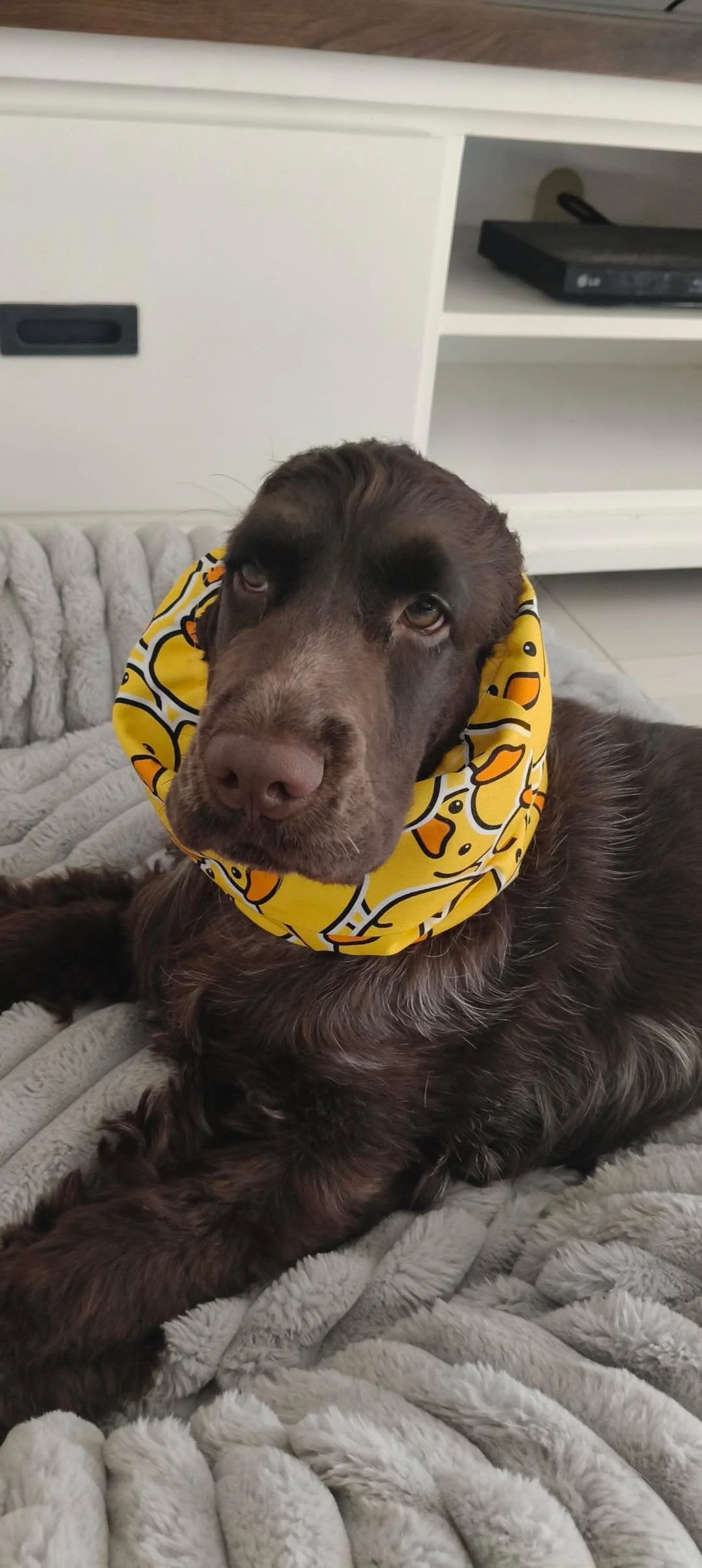 Peggy - Rubber Ducky Adventure Snood