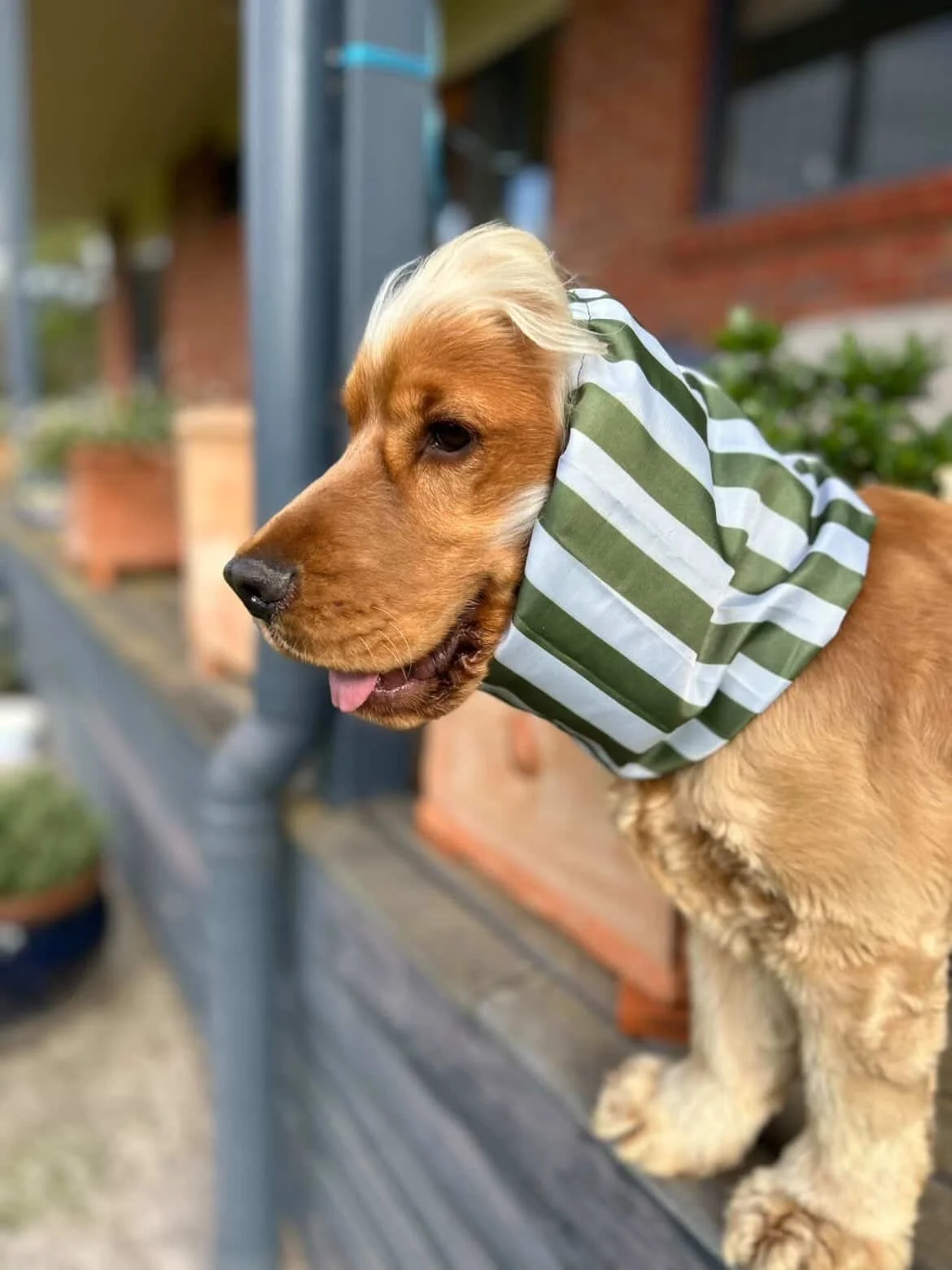 Kingston K Adventure Water-resistant Snood