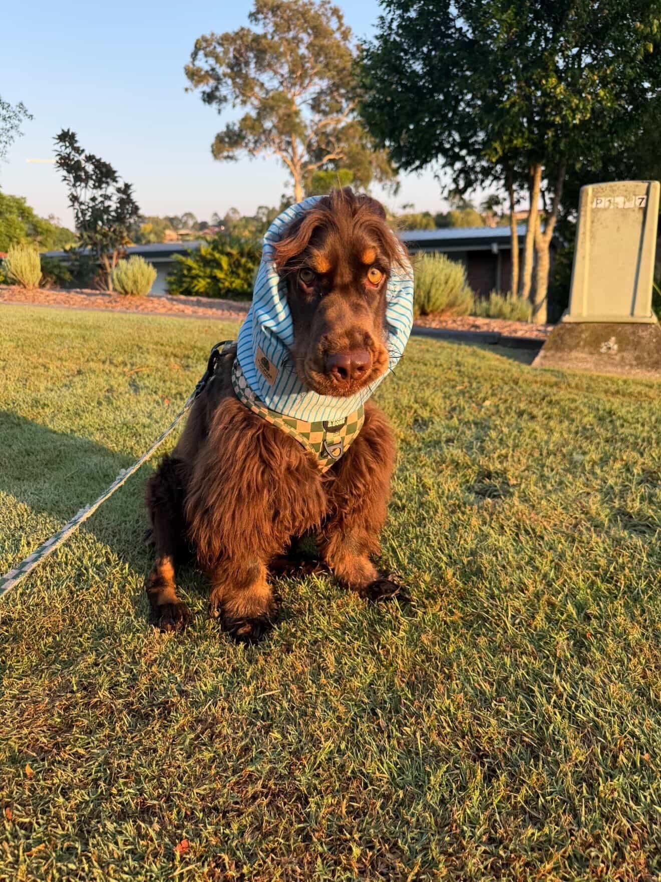 Winston, QLD - (Greg Adventure Snood)