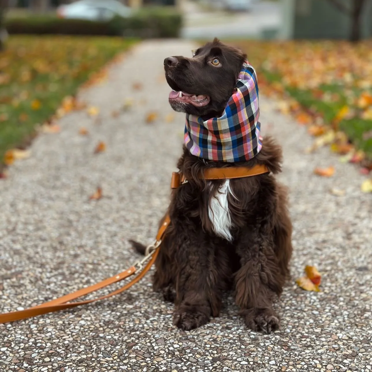 Pippin Plaid Snood