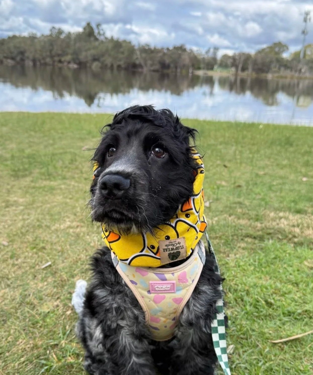 Caffie - Rubber Ducky Adventure Snood