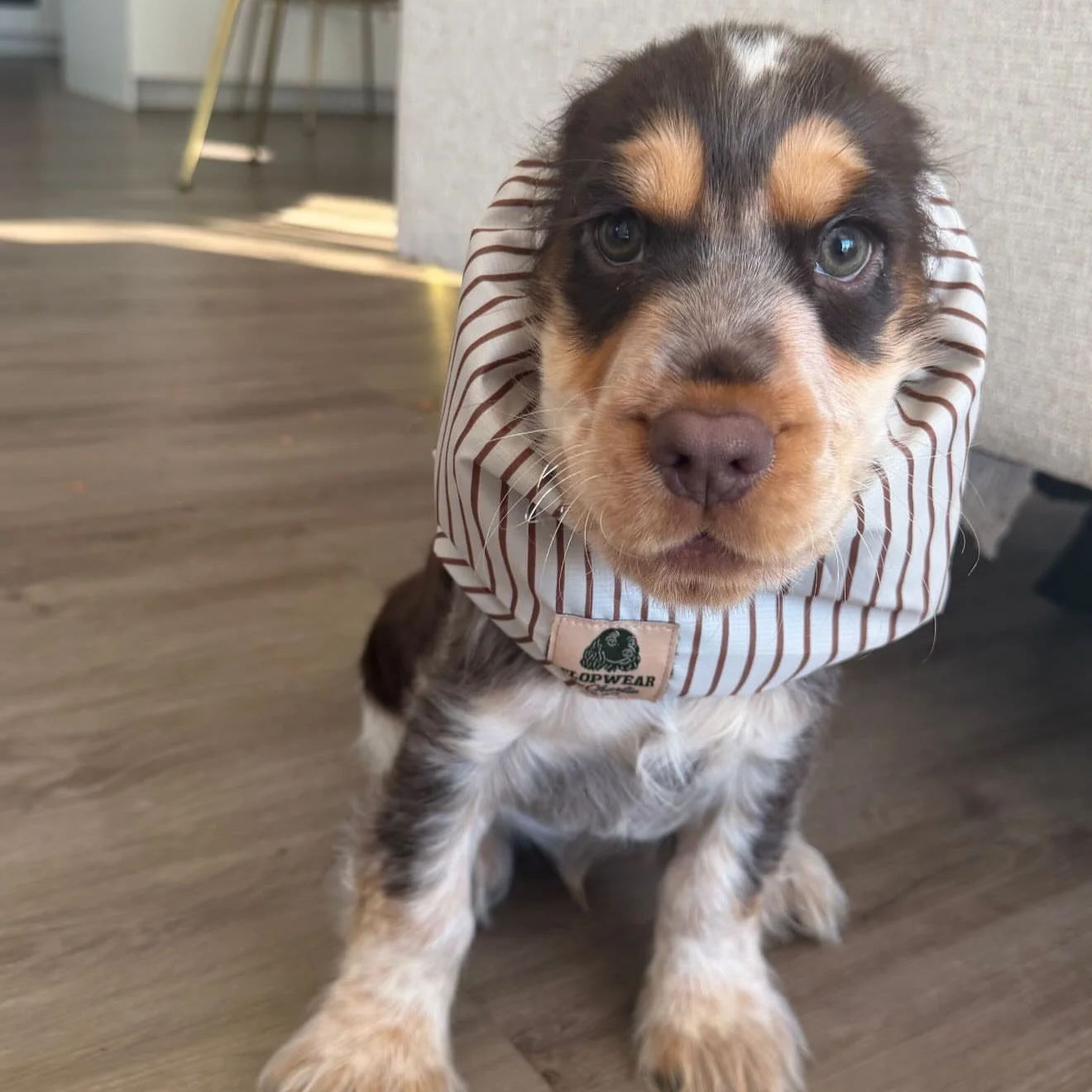 Barry, QLD (Desi Adventure Snood - Size Small)