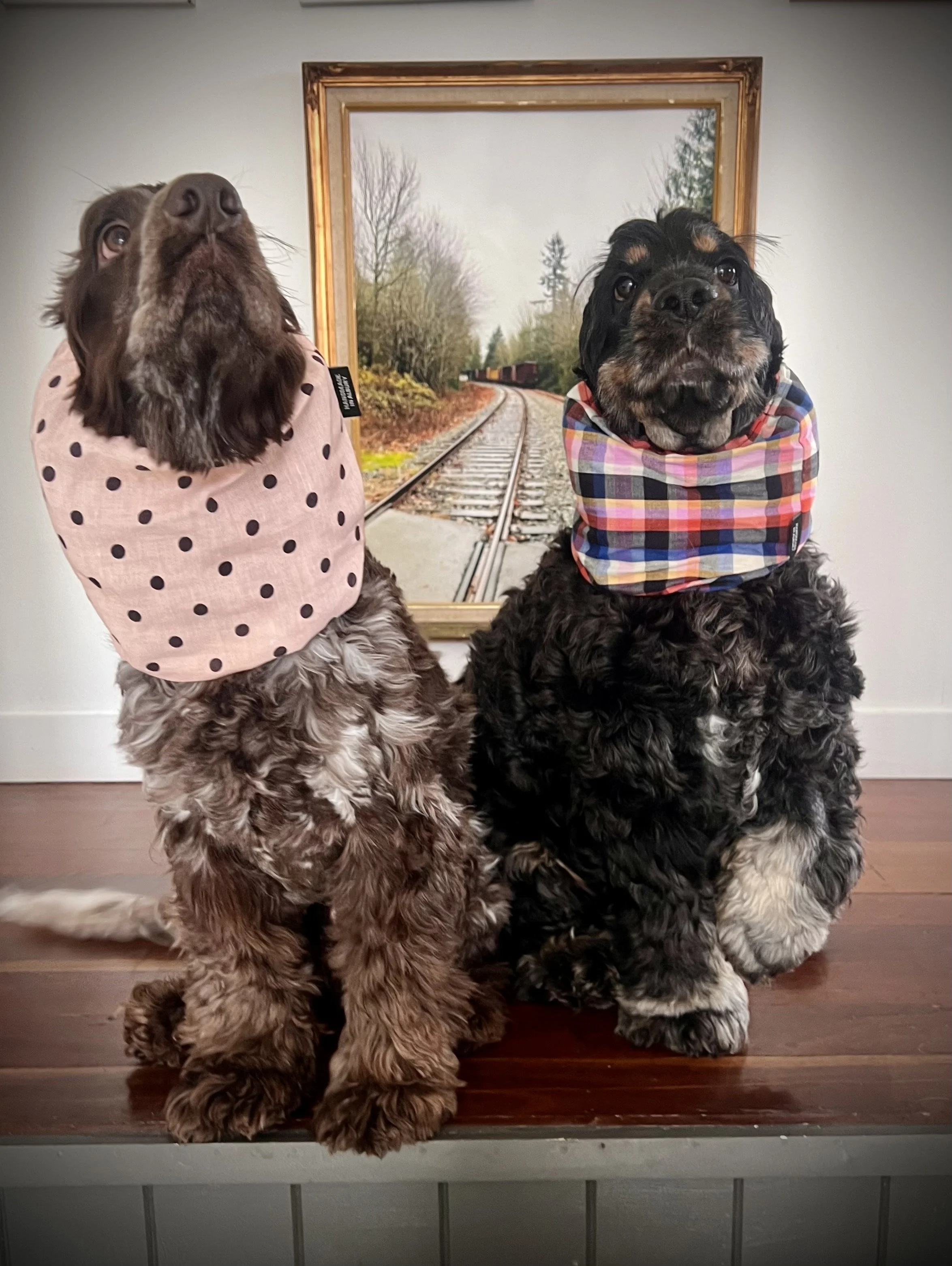 Arlo & Archie - Franklin Funfetti & Pippin Plaid Snoods