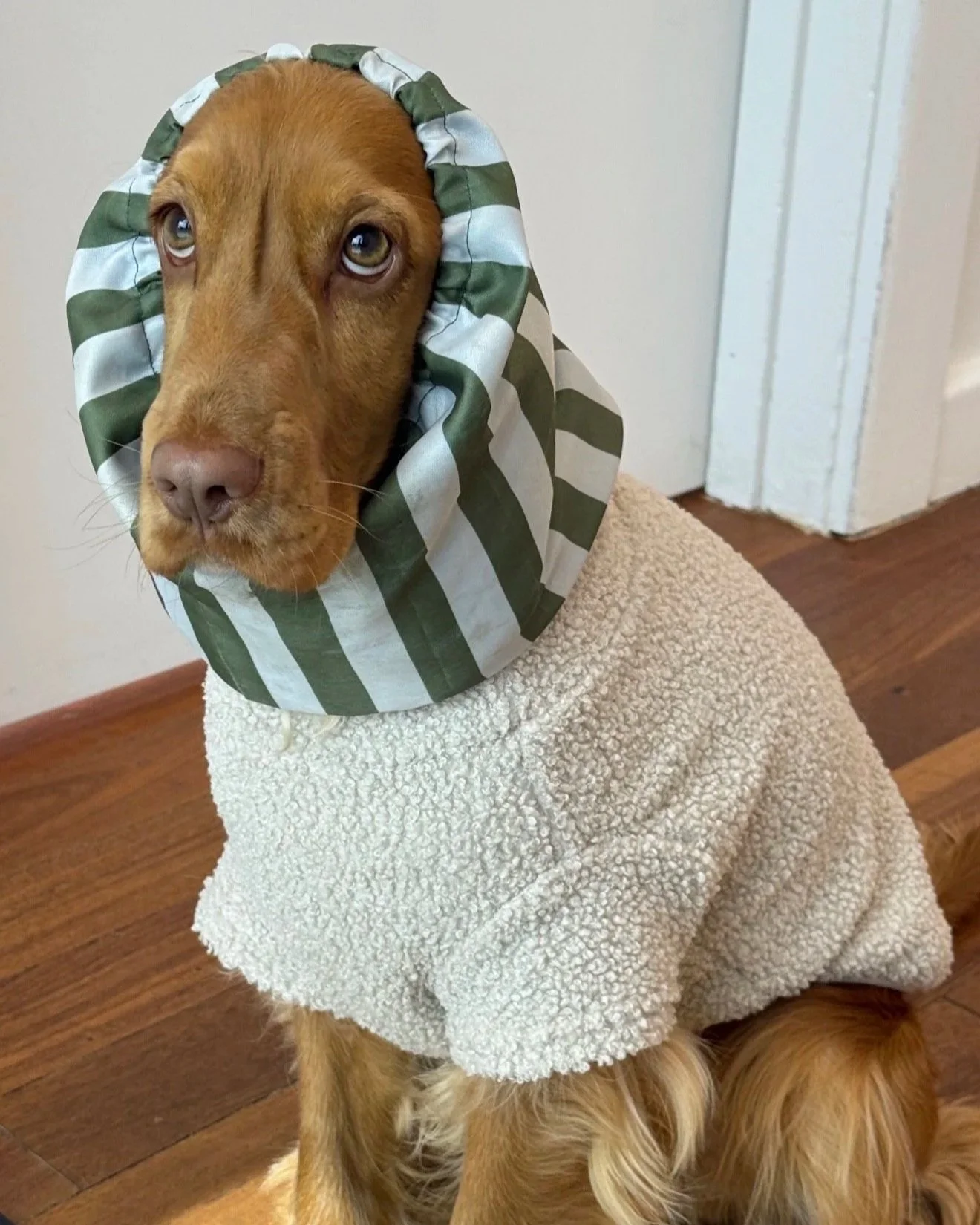 Theodore - Kingston K Adventure Snood