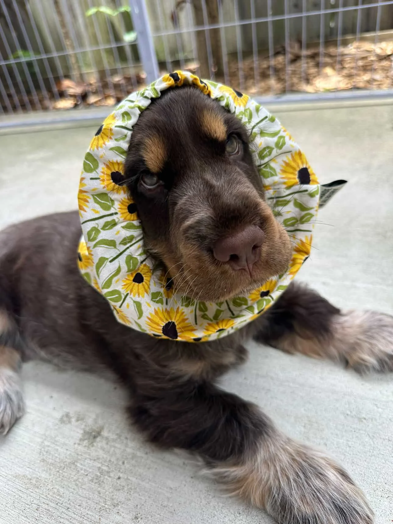 383FD25C-DC8D-41C2-9035-0AA1E69231DA 2.JPG