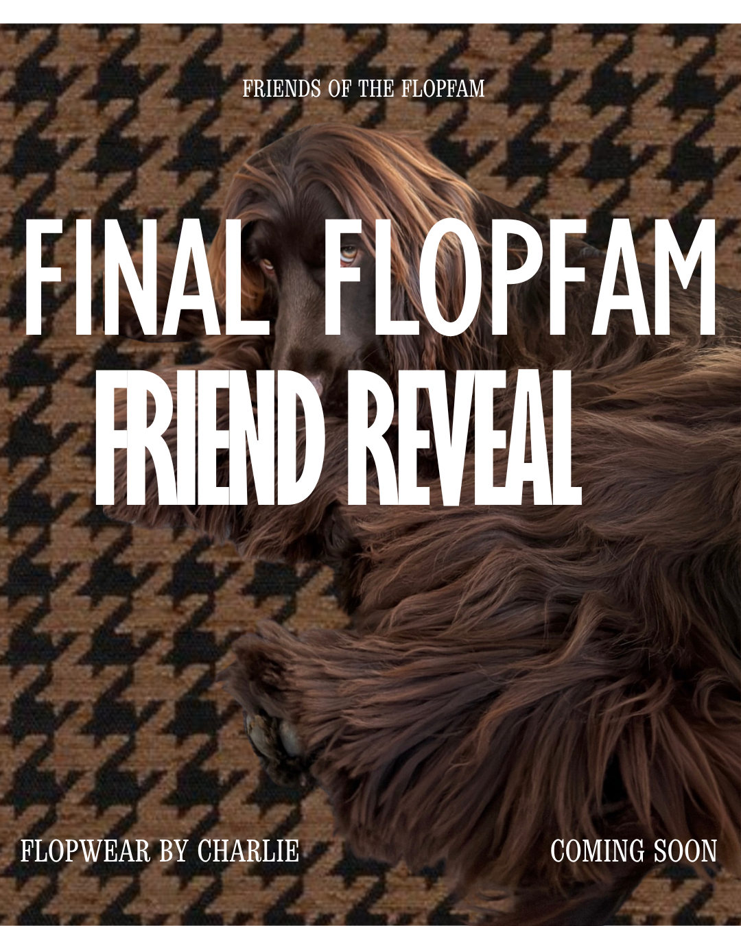 flopwear by charlie - 3.PNG