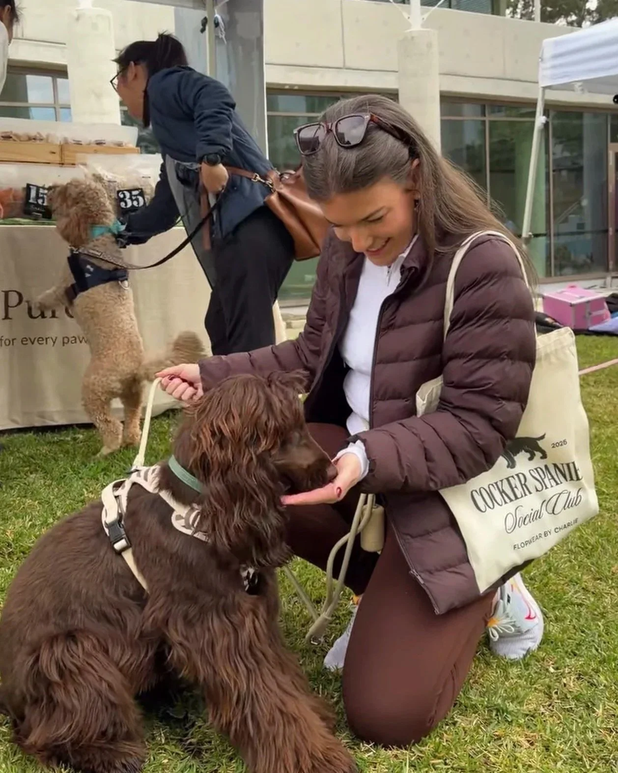 Cocker Spaniel Social Club Tote Bag
