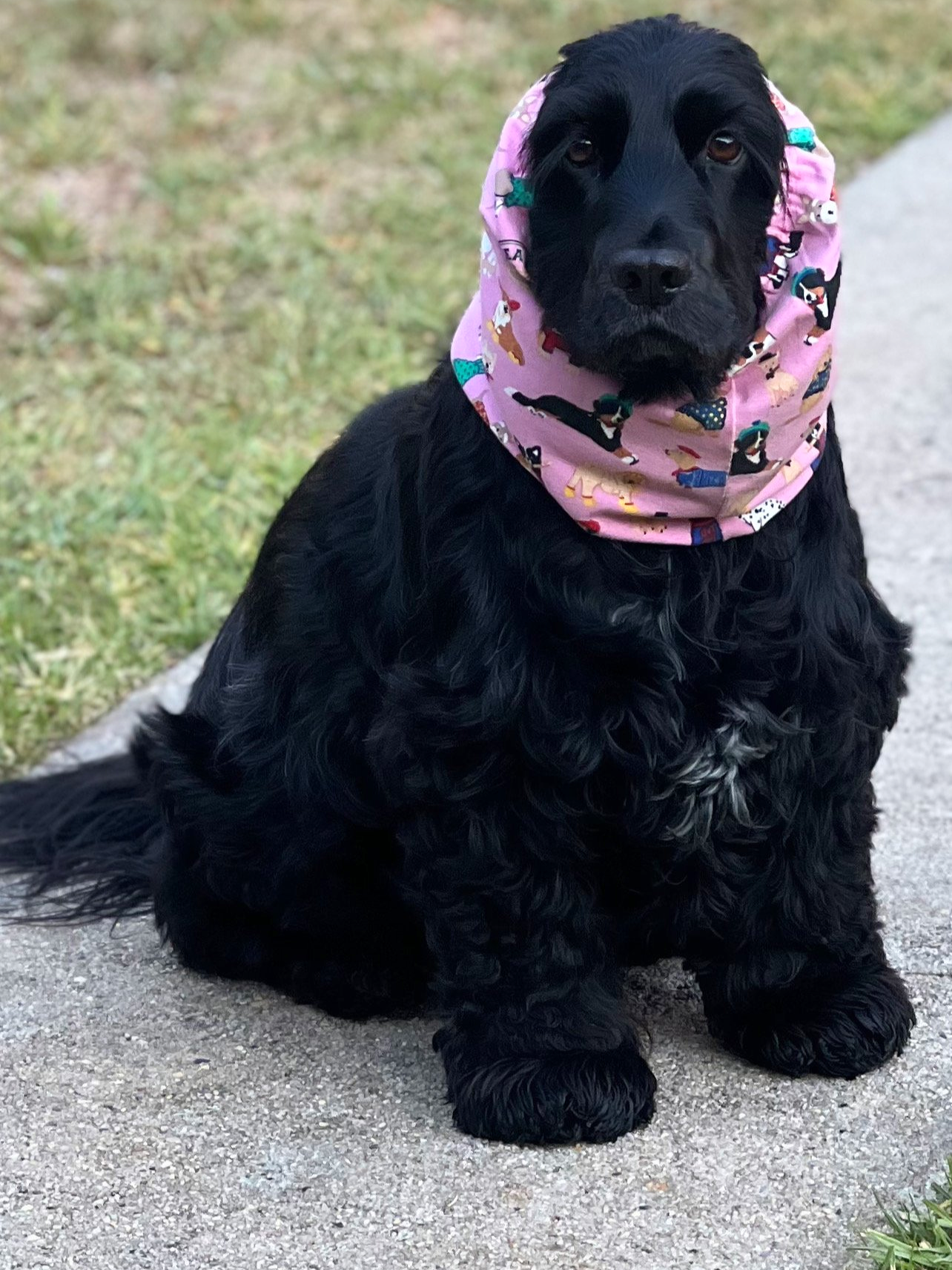 A33CA058-AFDE-4EB5-9AC1-CF52B9FFA14A 2.png