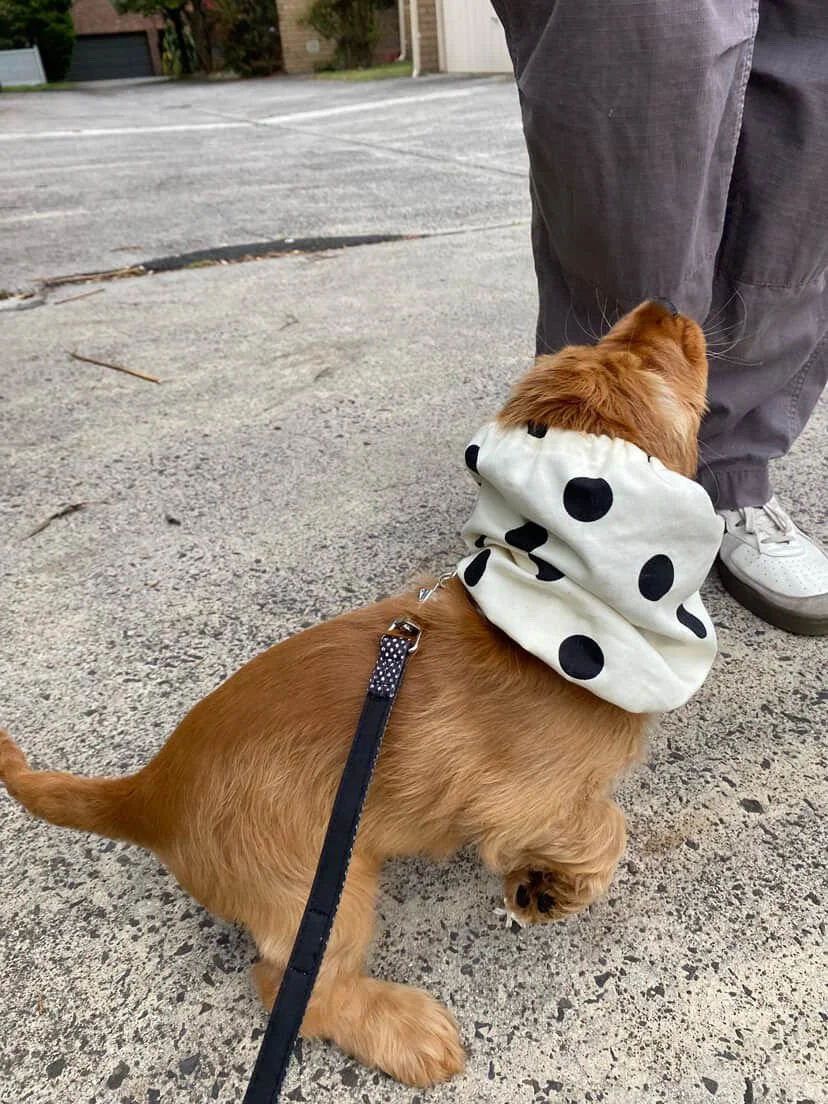 23CEBBF7-F28E-491B-900F-55A17F7D2716.JPG