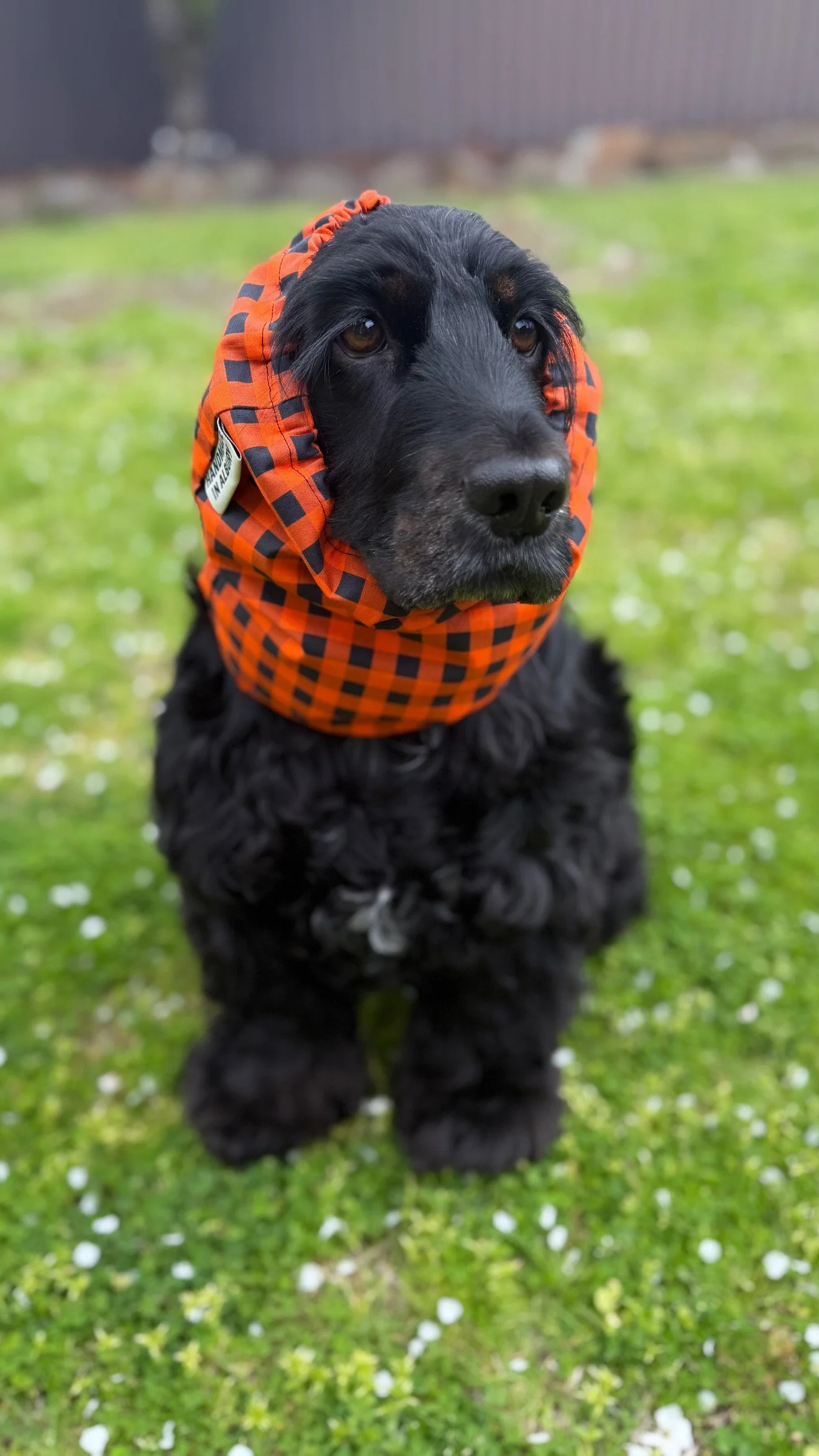 Double Trouble REVERSIBLE Halloween Snood 🎃👻