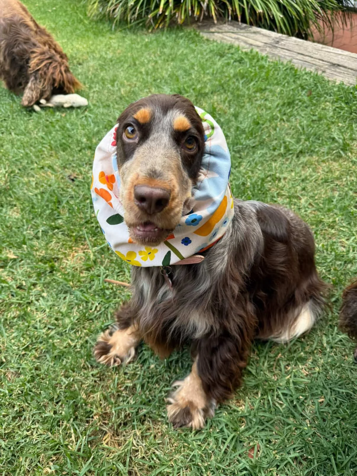 Sylvia Wall Flower Snood