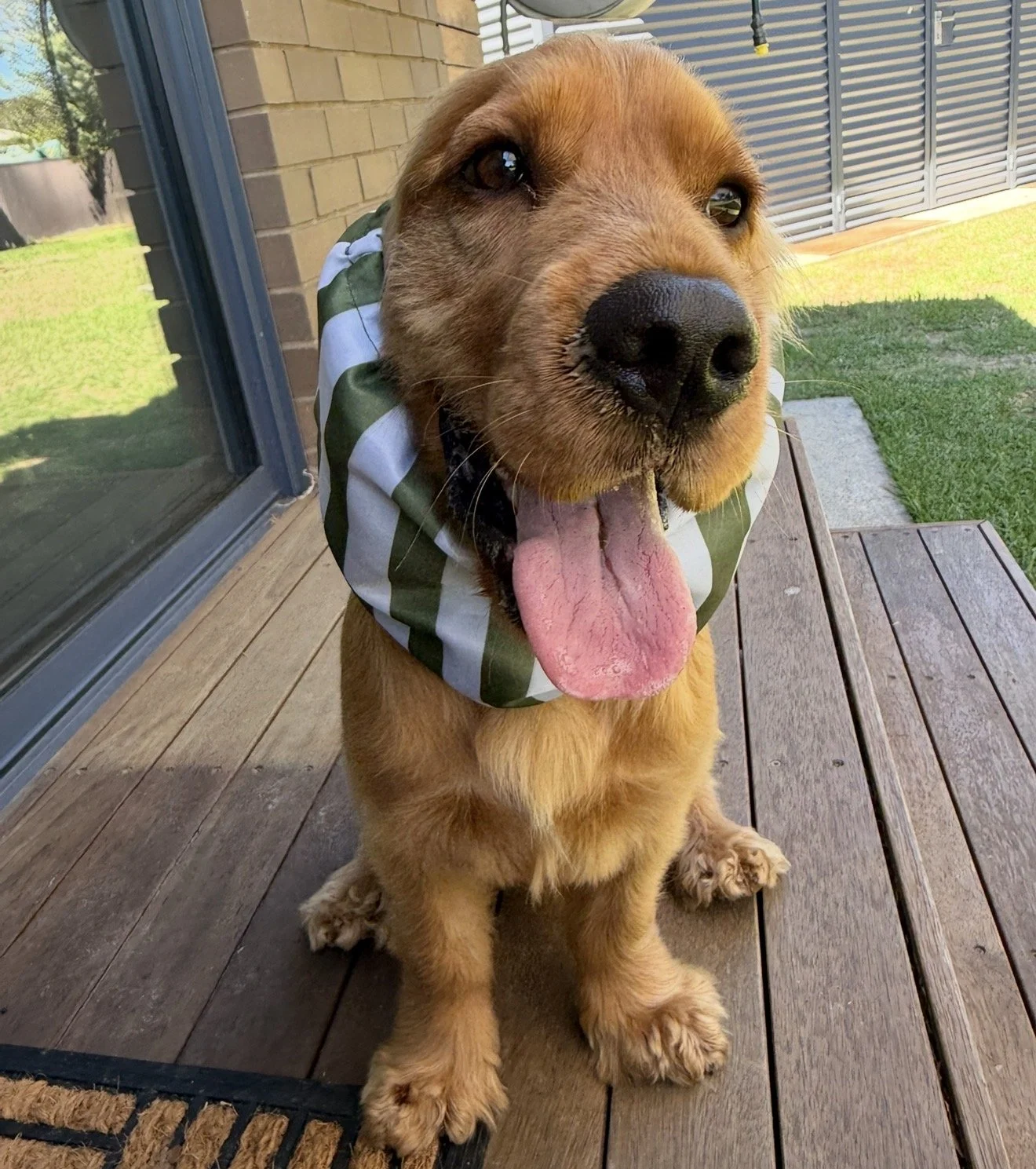 Kingston K Adventure Water-resistant Snood