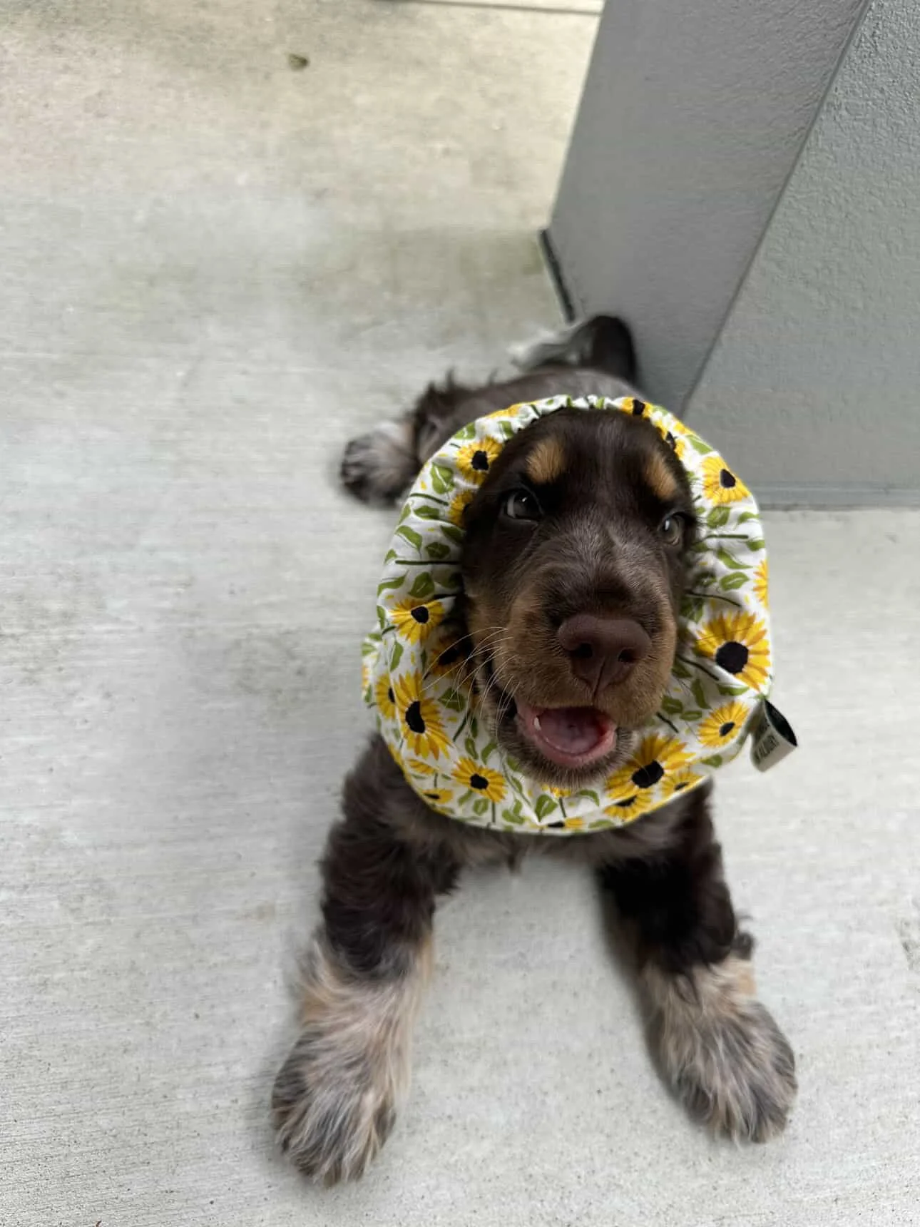 F6BA1615-DC0C-4F36-8D86-135A28B5D592 2.JPG