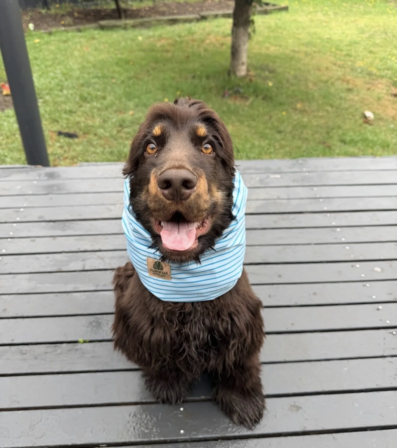 Greg Adventure Water-resistant Snood