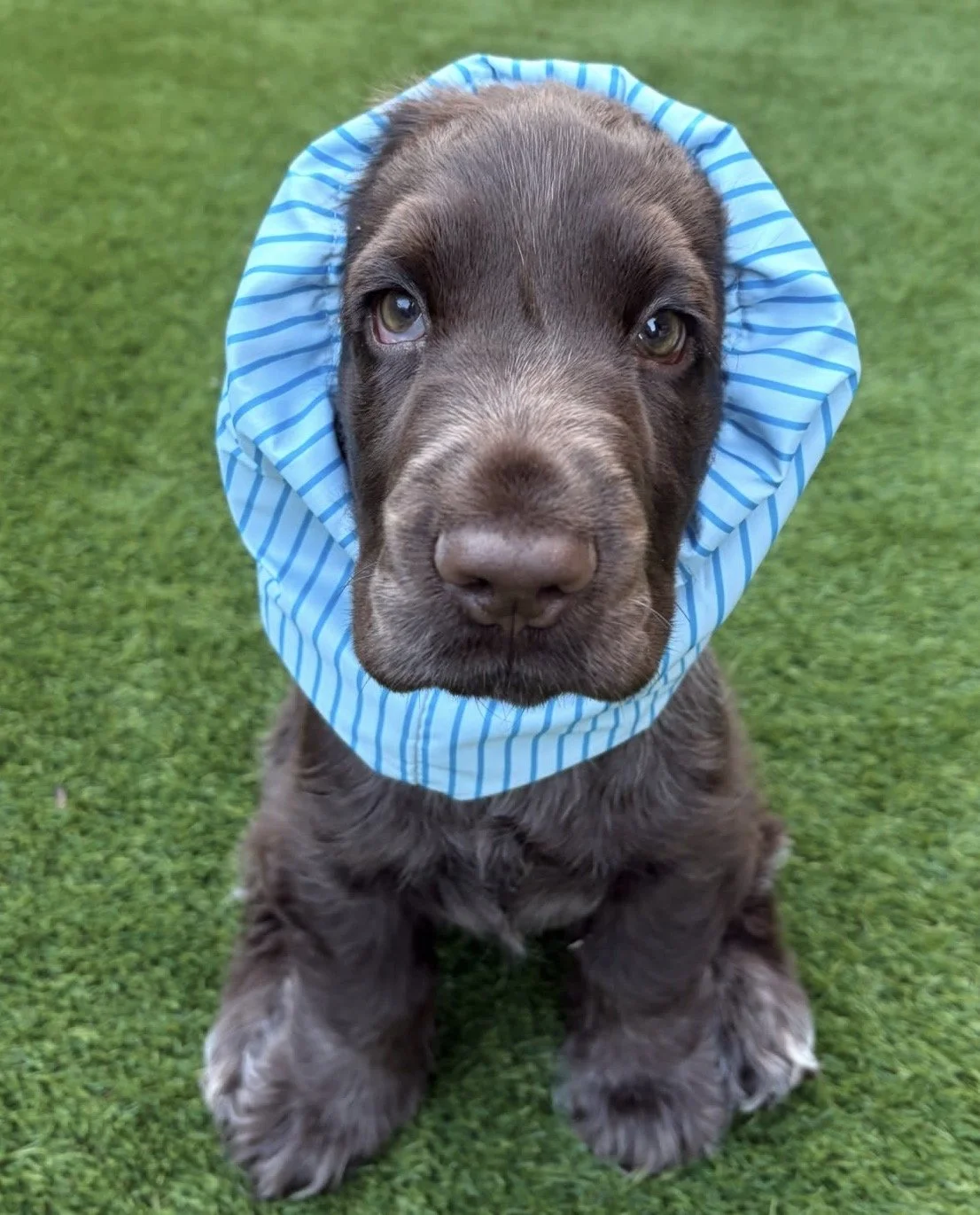 Greg Adventure Water-Resistant Snood