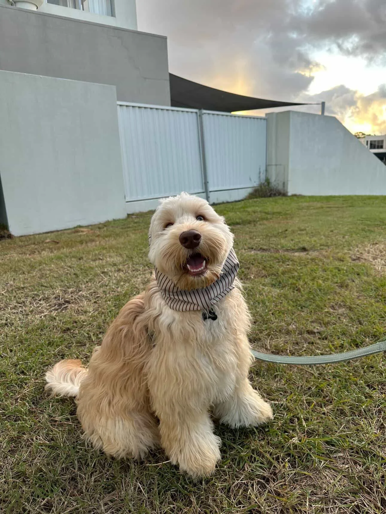 Gunna, Gold Coast QLD - (Desi Adventure Snood)