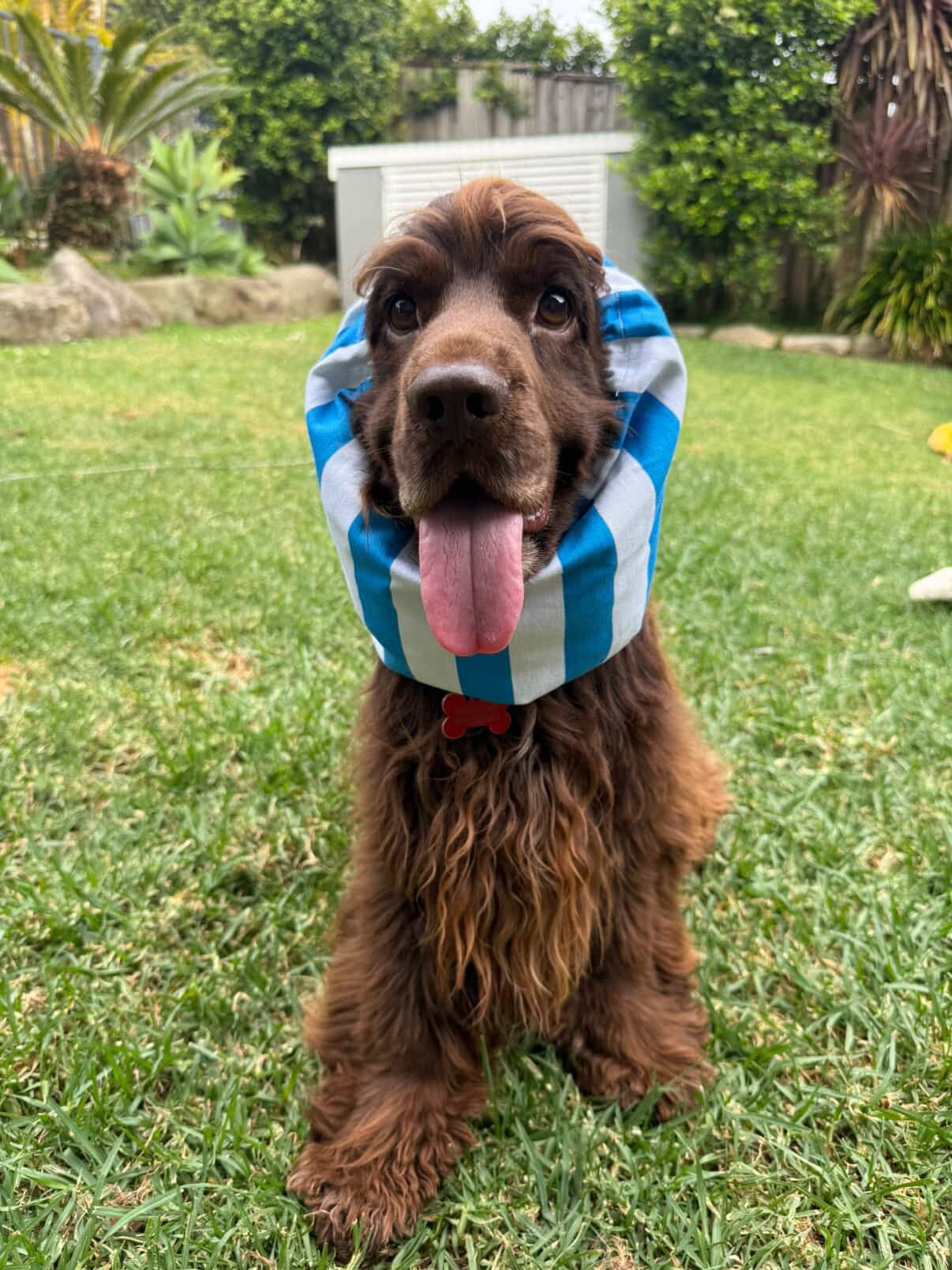 The Lake Hume Stripe Snood