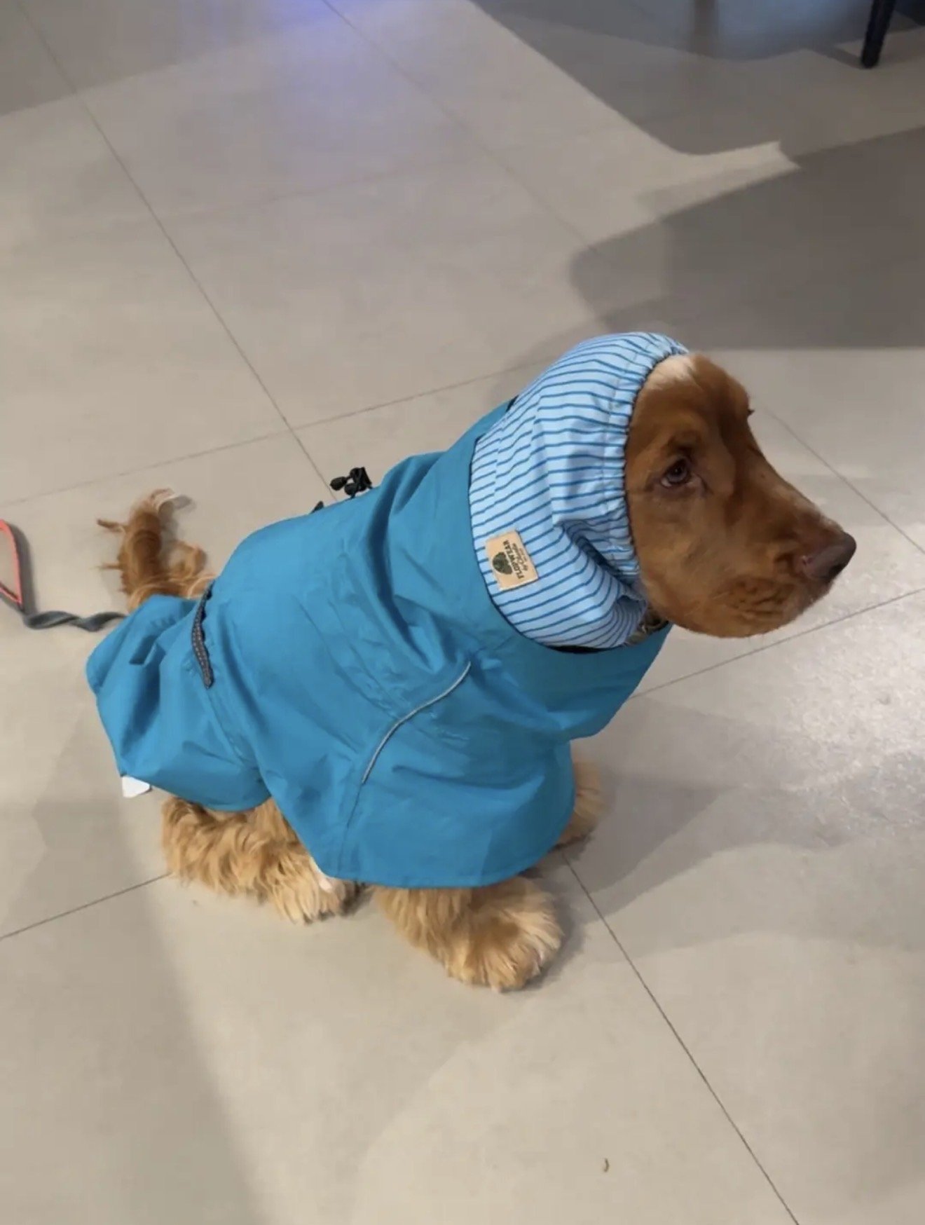 Tom - NSW, Greg Adventure Snood