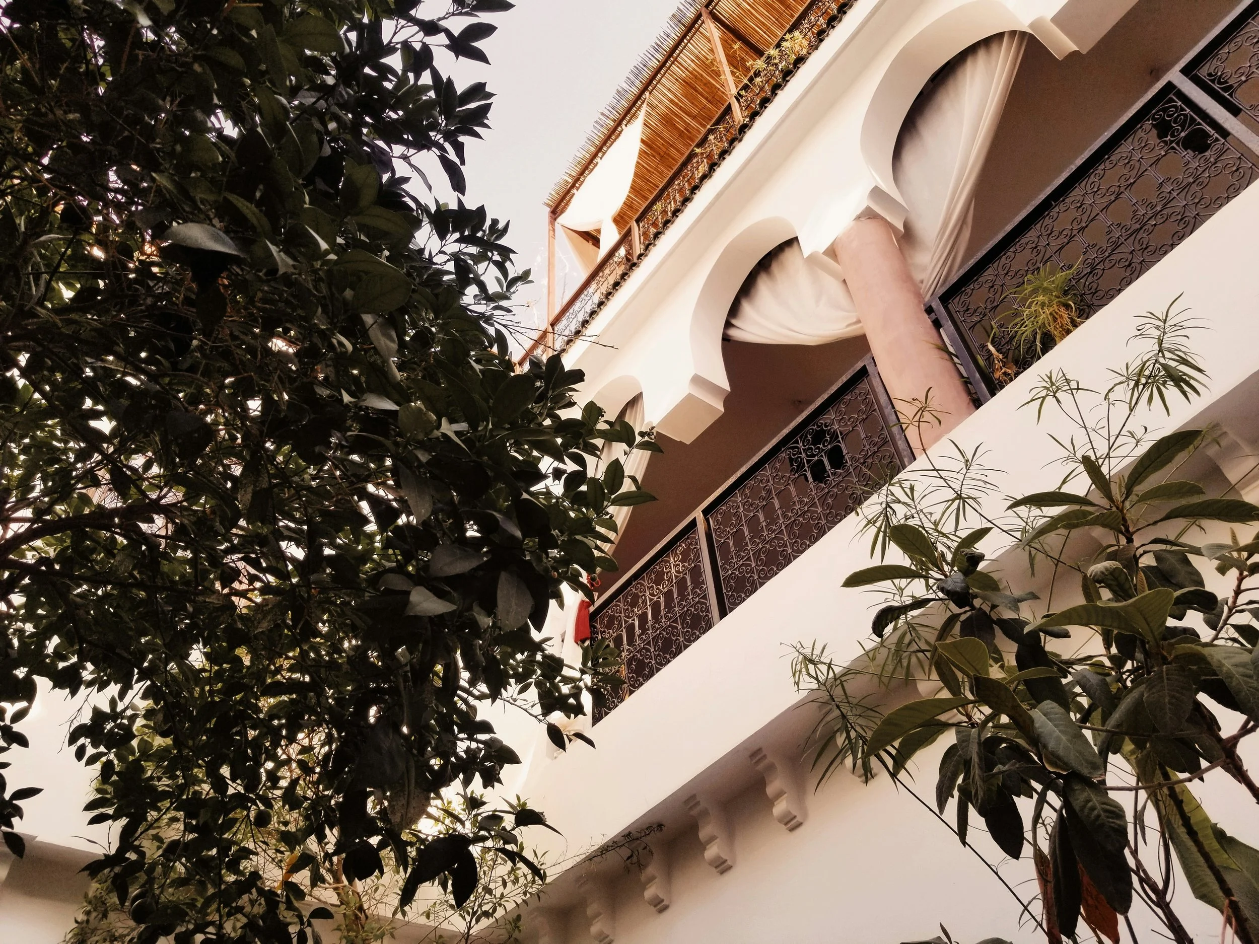 View of a building with balconies, decorative iron railings, and plants growing on the terraces, taken from a low angle with trees in the foreground.