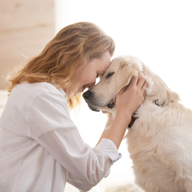 Eine Tierärztin hält die Nase eines Golden Retrievers und berührt ihn liebevoll. Beide scheinen eine enge Bindung zu haben.