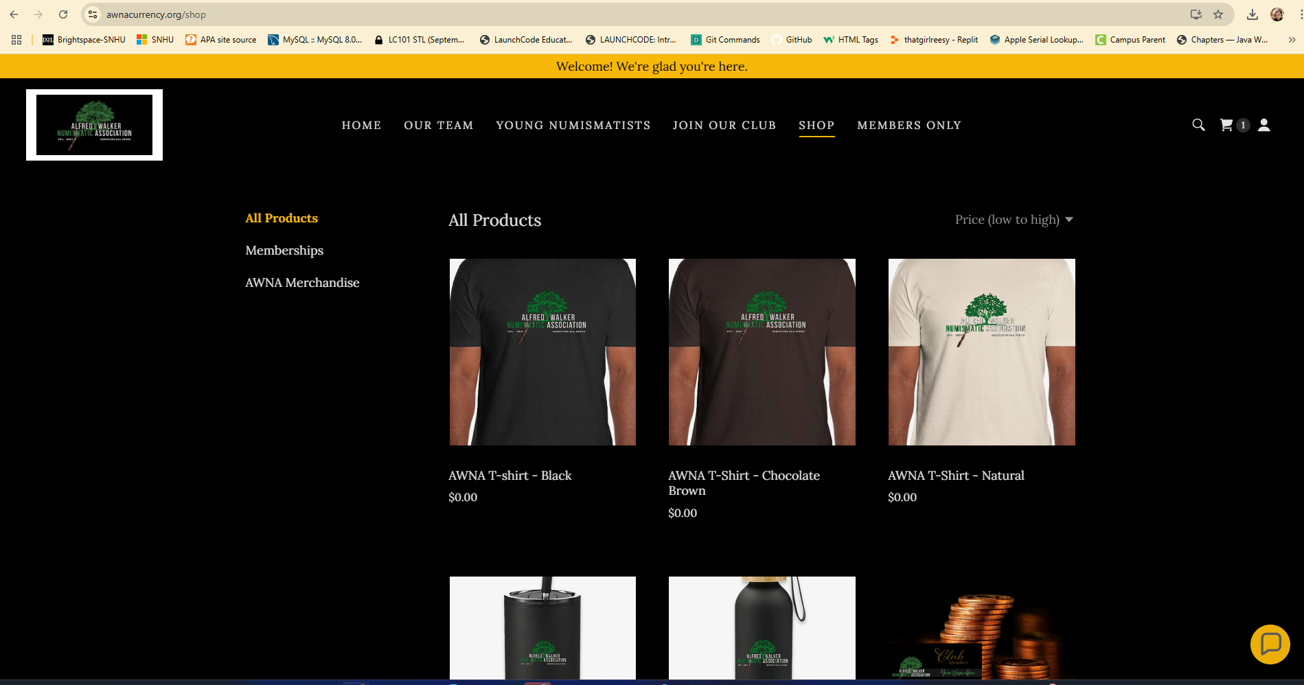 ecommerce page