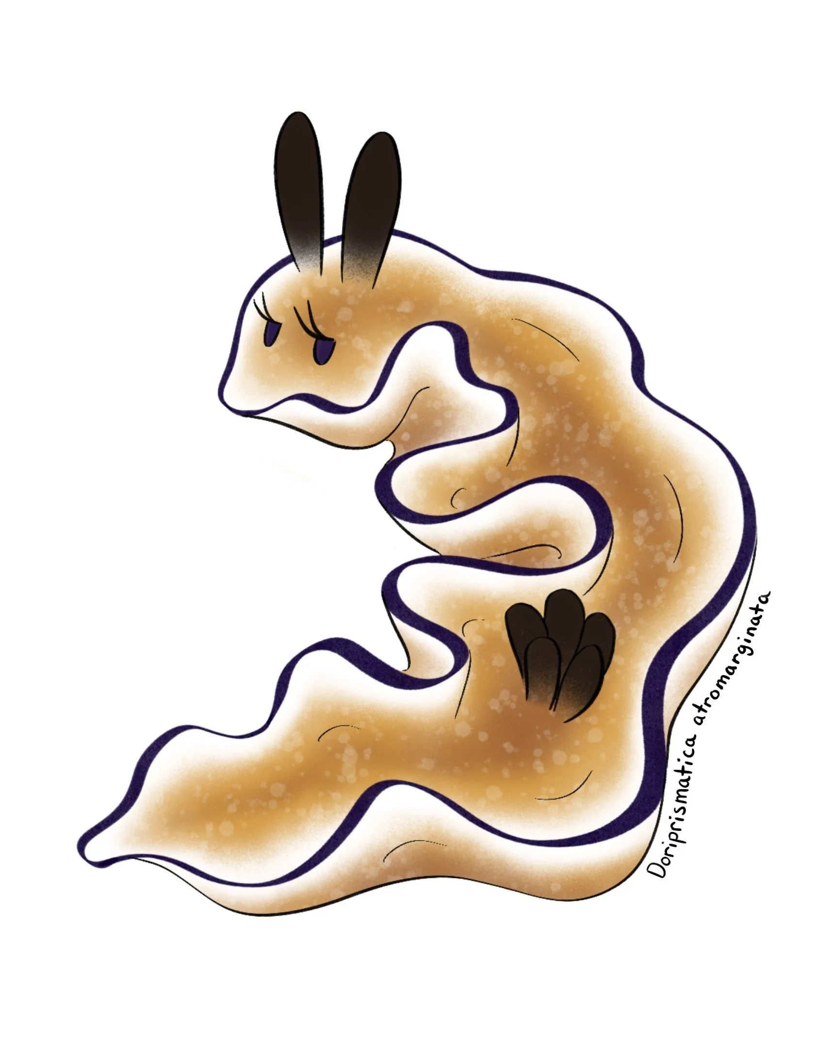 Doriprismatica atromarginata Sticker