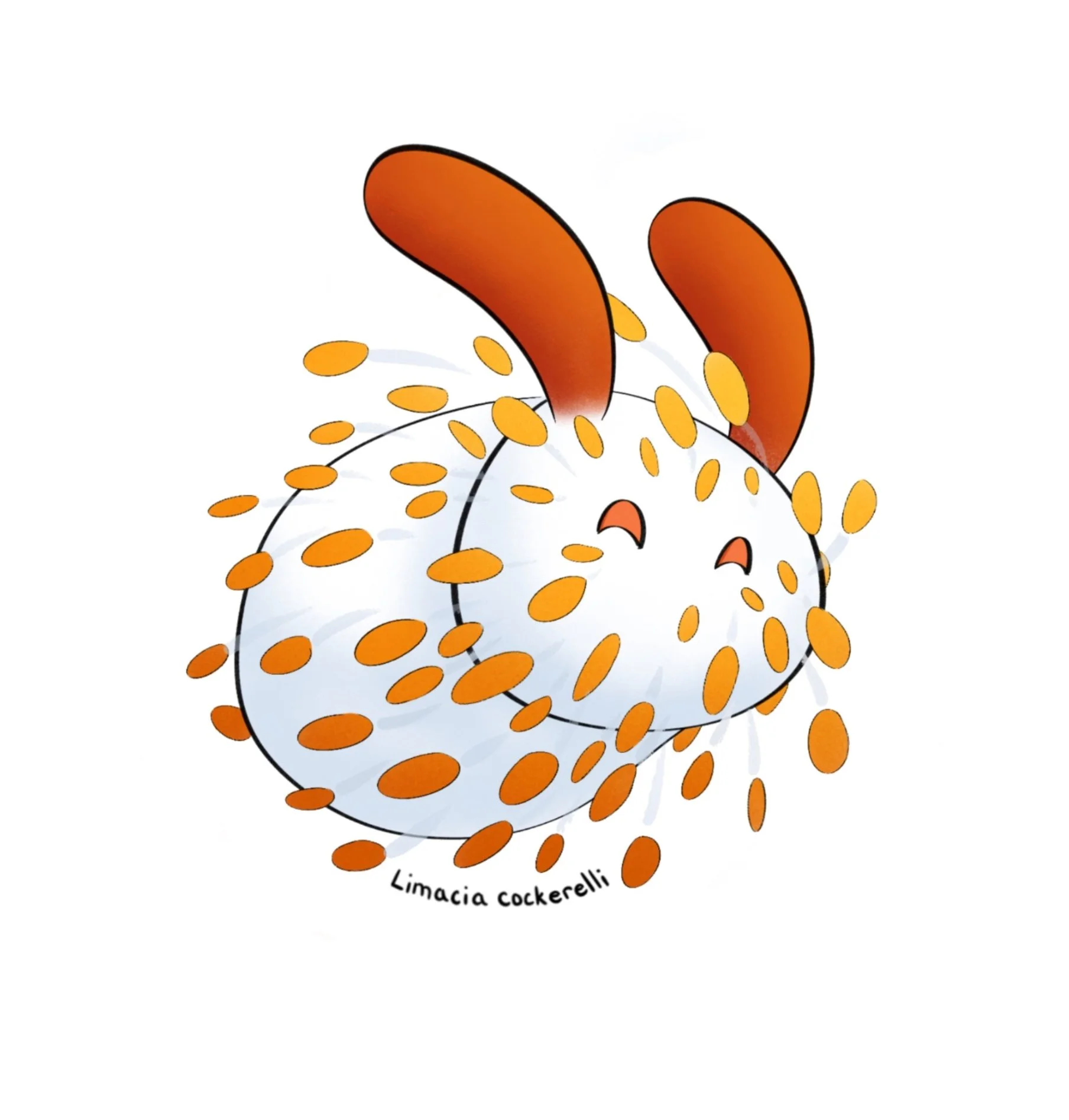 Limacia cockerelli Sticker