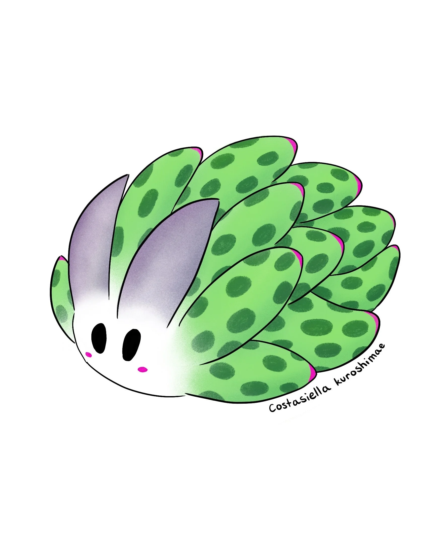 Costasiella kuroshimae Sticker