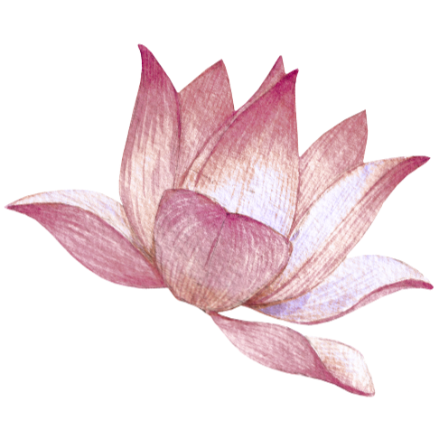 Prevail Surrogacy Lotus