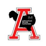 Arkansas Fencing Pioneers logo with a large red ‘A’ and a black silhouette of a person fencing.