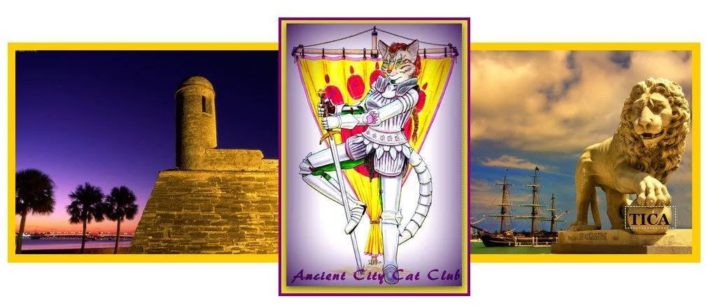 A collage featuring a historic tower and palm trees at sunset, a cartoon anthropomorphic cat dressed as a knight in armor, and a lion statue on a city street with ships in the background, labeled with 'Ancient City Cat Club' and 'TICA'.