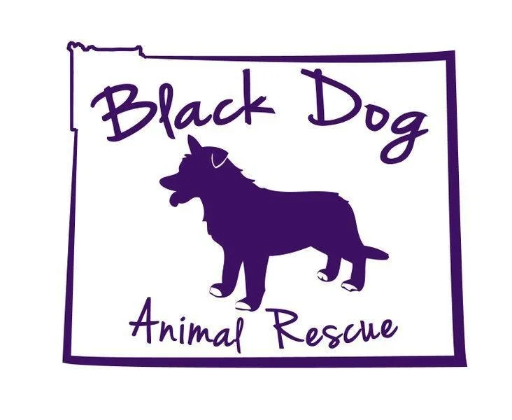 Logo for Black Dog Animal Rescue featuring a silhouette of a black dog with pointed ears and a wagging tail, with purple borders and text.