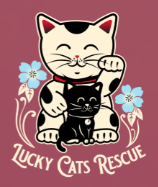 Illustration of a happy cartoon cat with a smaller black cat, surrounded by blue flowers, with the text 'Lucky Cats Rescue' at the bottom.