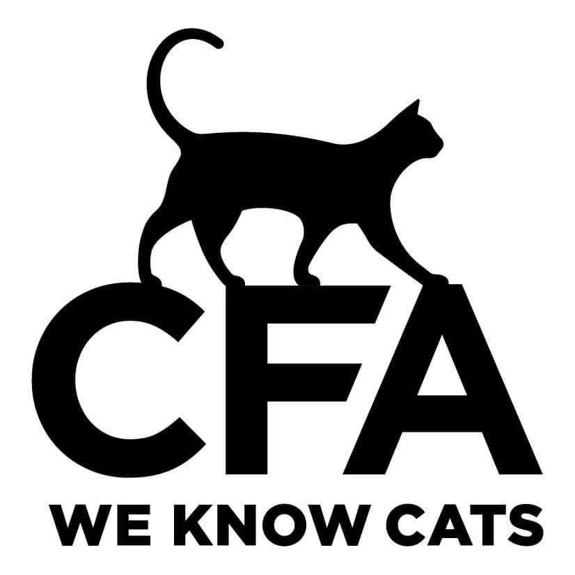 Silhouette of a cat standing on the letters 'CFA' with the text 'WE KNOW CATS' below.