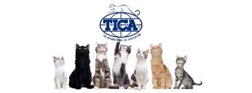 Seven cats of various colors and breeds sitting in a row below a logo with a globe and text.