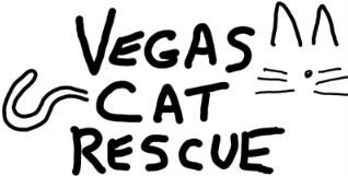 Hand-drawn sign reading 'Vegas Cat Rescue' with a cat face illustration