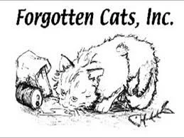 Drawing of a kitten sniffing a spilled can and a jar labeled 'Cat Food' next to it, with the text 'Forgotten Cats, Inc.' above.