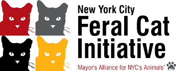 Logo for the New York City Feral Cat Initiative with four stylized cat faces in red, gray, black, and yellow, and text indicating it is part of Mayor's Alliance for NYC's Animals.