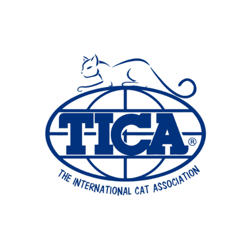 Logo of The International Cat Association featuring a lounging cat above the TICA acronym and the association's name.