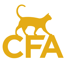 Logo of the Chartered Financial Analyst (CFA) with a stylized gold cat walking on the letters